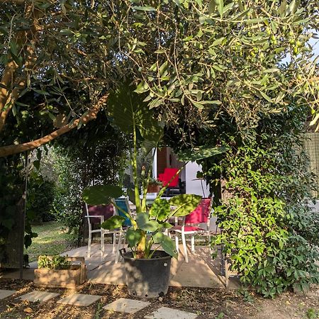 Morieres-les-Avignon La Maison Sous L'Olivier 빌라 외부 사진