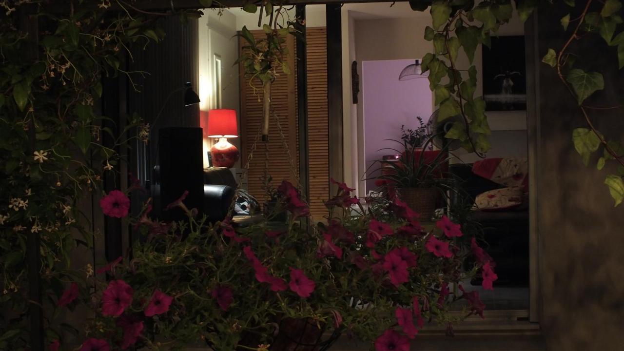 Morieres-les-Avignon La Maison Sous L'Olivier 빌라 외부 사진