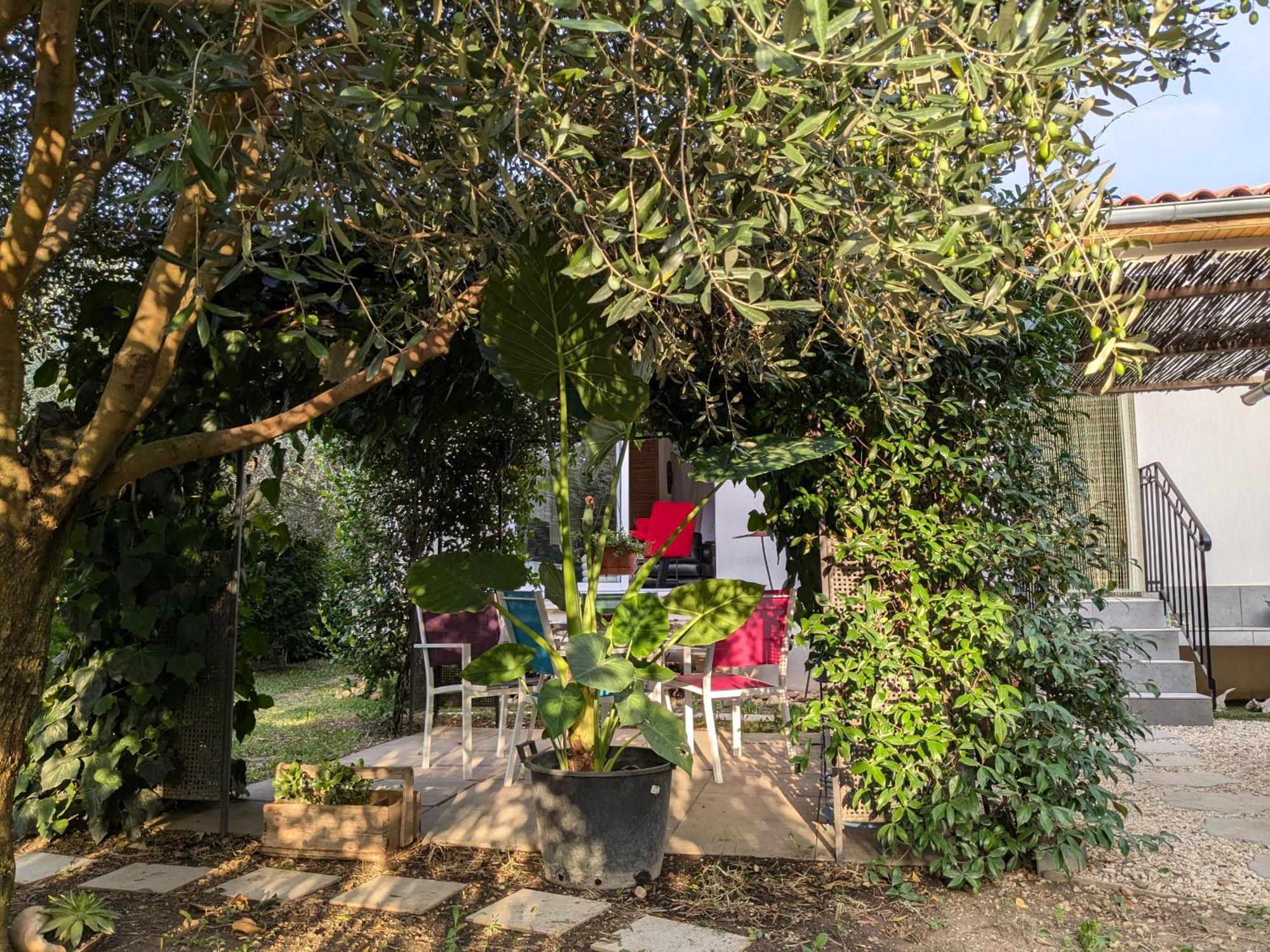 Morieres-les-Avignon La Maison Sous L'Olivier 빌라 외부 사진